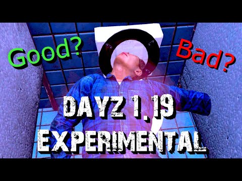 The DayZ 1.19 Livonia Experimental Experience in Under 8 Minutes