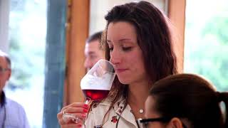 la grande festa del vino: reportage