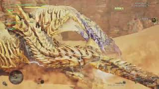 モンハン　ワイルズ　練習配信