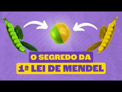 PRIMEIRA LEI DE MENDEL: O Segredo da Revolução Genética