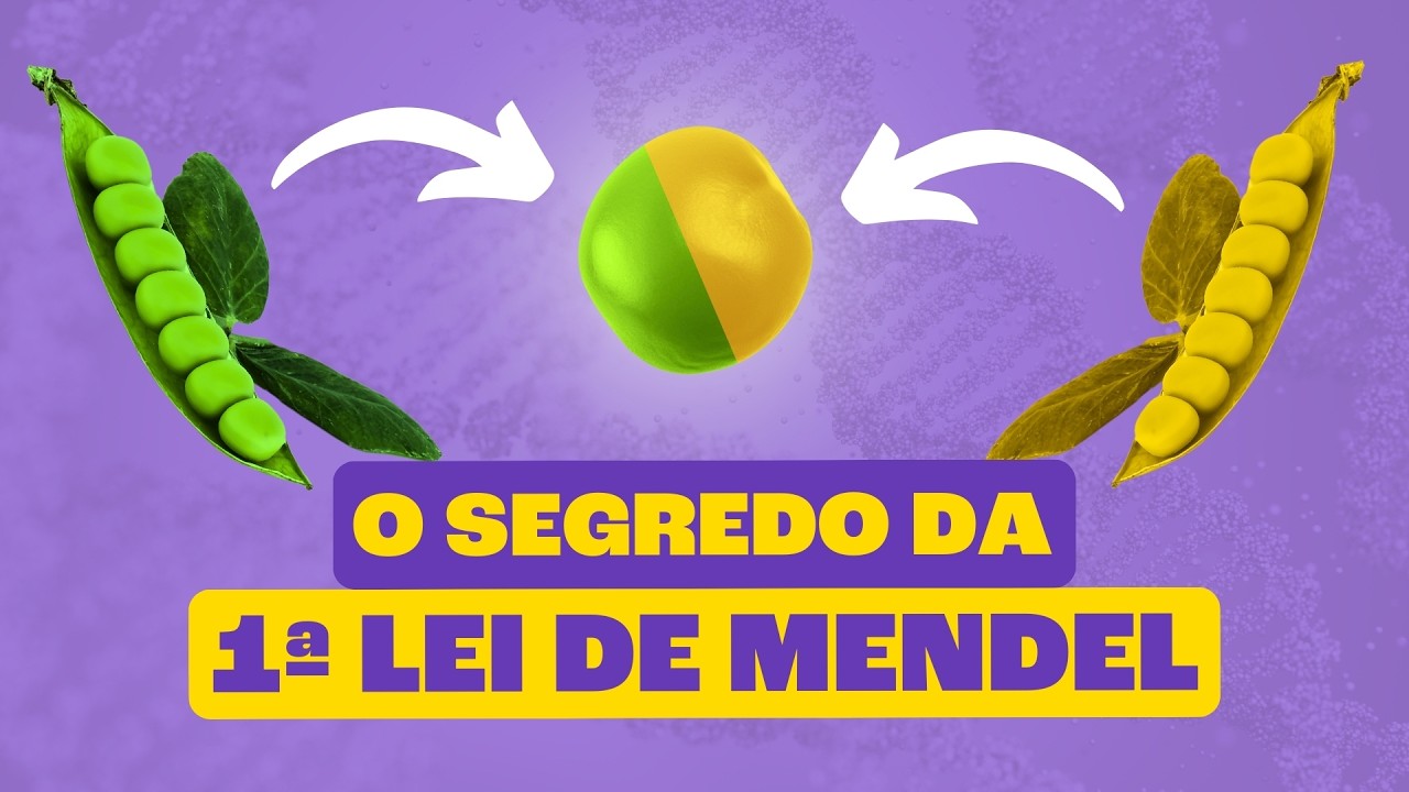 PRIMEIRA LEI DE MENDEL: O Segredo da Revolução Genética