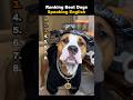 Ranking Best Dogs Speaking English
