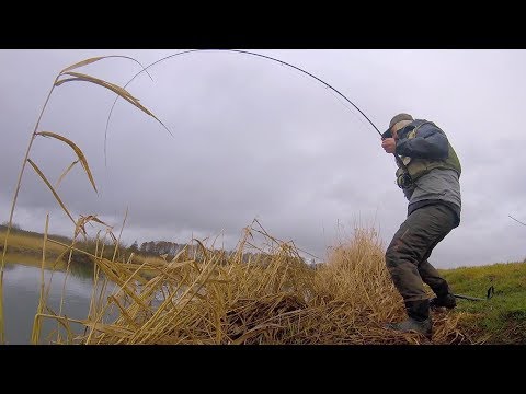 Forårslaks på 6,2 kilo fra Gudenåen 2019