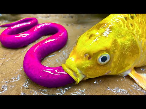 Stop Motion MAGNETIC Fish 잉어와 메기를 위한 미니 수영장 | MUKBANG 바다게, 황금개구리 ASMR 재미있는 스톱모션 애니메이션