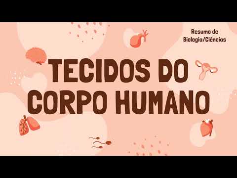 OS TECIDOS DO CORPO HUMANO | RESUMO ESCOLAR