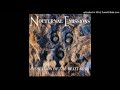 Nocturnal Emissions - Invocation of The Beast Gods (1989) [320/FA]
