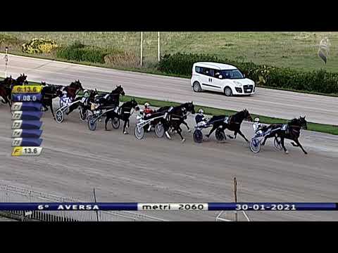 Aversa trotto 30 Gennaio 2021 - 6° Corsa