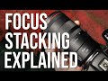 Macro focus stacking methods EXPLAINED (Best tips I use for sharp shots)