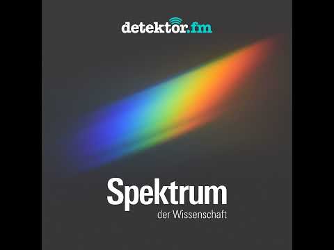 Hunde: Wie sie die Welt wahrnehmen