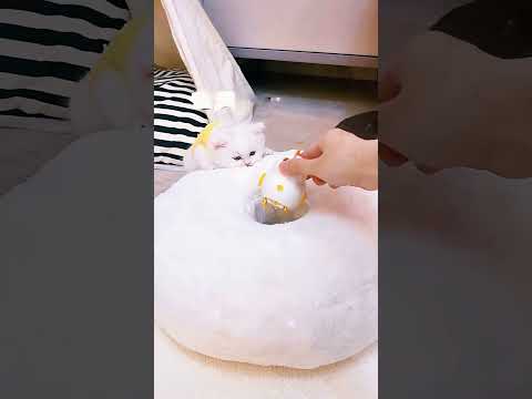 “قصة القطة الصغيرة والدفء المفقود 🐱❄️🧣”