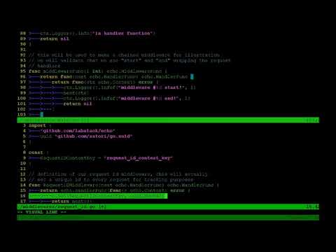 Echo Quick Start Guide | 4 Implementing Middleware