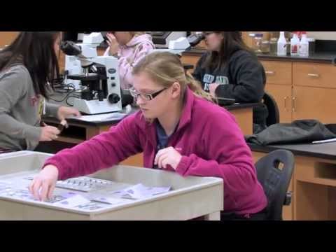 Engineering Education at Central Community College