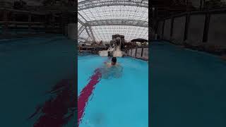 もう一回！！サマランウルトラクイズで落ちる前に答えろ🛝💦