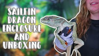 Sailfin Dragon Unboxing & Set Up // Grow Tent Reptile Enclosure