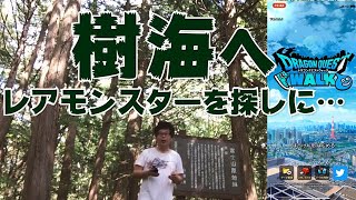 富士の樹海でドラクエウォーク