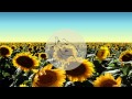 The Jungle Giants - Come and Be Alone With Me ...