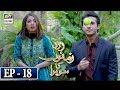 Zard Zamano Ka Sawera Episode 18 1st April 2018 ARY Digital