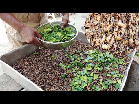 Cambodia Food - Street Food - Fried Cricket Recipe