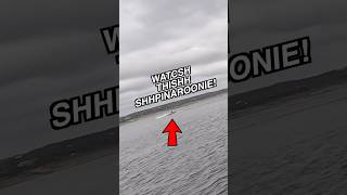Shpinaroonie. #jetski #bassfishing #fishingkaren #fishing