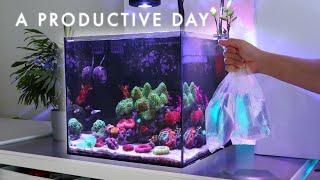 A Productive Day Off as a Reefer | DIY with me!