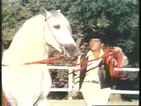 DEAN MARTIN and His Andalusian Horses. Beautiful!