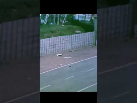 F1 Crash Kills 2 People