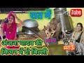 अंजना यादव की किचन में दो बिल्ली रात म�