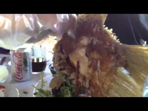 Assembly of Vietnamese spring rolls