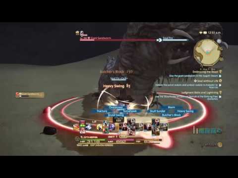 Final Fantasy 14 : Warrior Missions lvl 35-45.