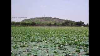 preview picture of video 'CHARKHARI - Kashmir of Bundelkhand (Beauty of Charkhari)'