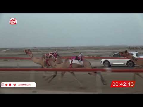  ش 5 (الوسميه) لـ حمد سالم بن هضعه الشريفي 2:13 ، شارة الصندوق 2026/07/19 فطامين السمحه