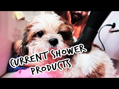 Must have shower products for pets | Use these to bathe your pet | shih tzu bathing time