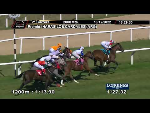 221218 c02 COSITA LOCA