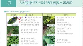 [초등과학 4-2 무료강의] 1. 식물의 생활 ① 잎의 생김새에 따라 식물을 어떻게 분류할 수 있을까요?