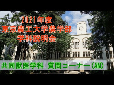 東京農工大学農学部 共同獣医学科 2021学科説明会 質問コーナー（午前の部）