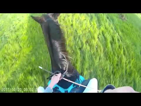 Atherstone Hunter Trial 21/10/17