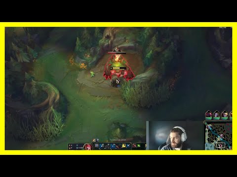 Cinkrof About The Bds Trainer