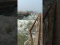 चंबल नहर के नीचे बहती नदी Riverview Canal River Watersounds 