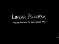 Linear Algebra 3 1 1 Introduction To Determinants