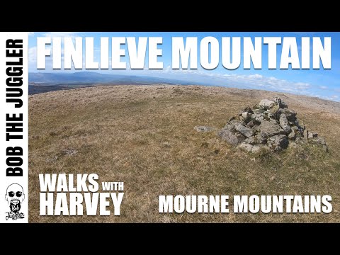Walks with Harvey - Mourne Mountains, Finlieve
