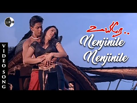Video thumbnail for Nenjinile Nenjinile