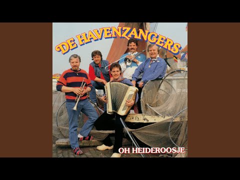 Aan Het Noordzeestrand