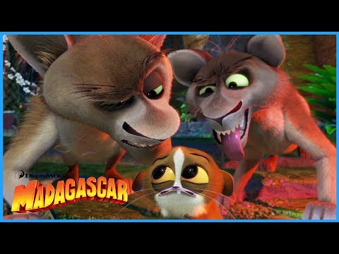 Beware of the Fossa! | Extended Preview | DreamWorks Madagascar