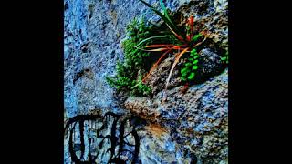 Final Form (Vocal Cover)