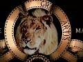Miramax Metro Goldwyn Mayer Samuel Goldwyn In Credit 2012 1937