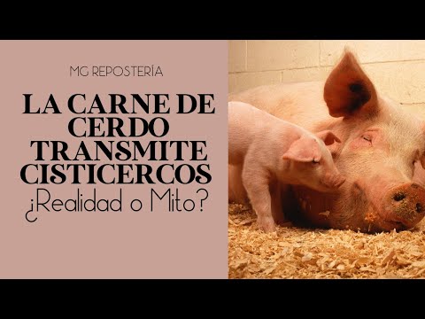 , title : 'La carne de cerdo transmite cisticercosis ¿Mito o verdad?'