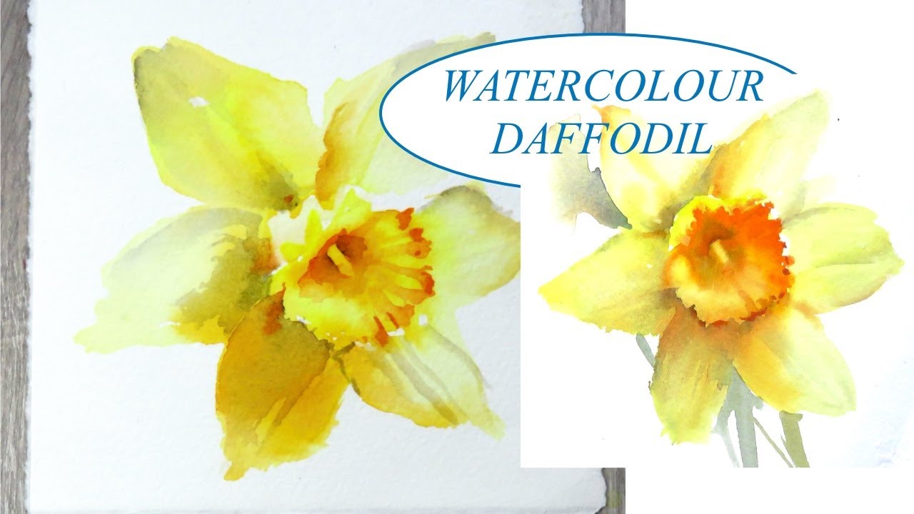 Easy Watercolour Daffodils without a sketch