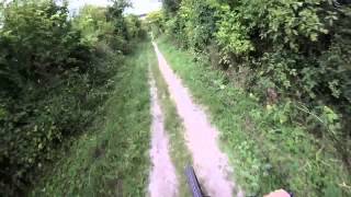 Ridgeway Oxfordshire 01Aug2015