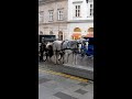 Poor Horses In Pouring Rain Shorts