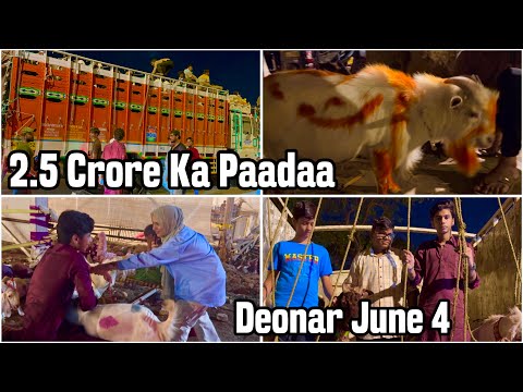 Deonar Bakra Mandi 2024